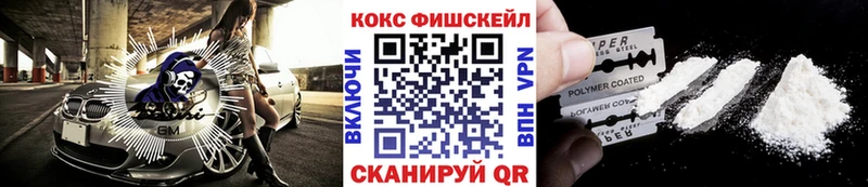 КОКАИН FishScale  продажа наркотиков  Александров 