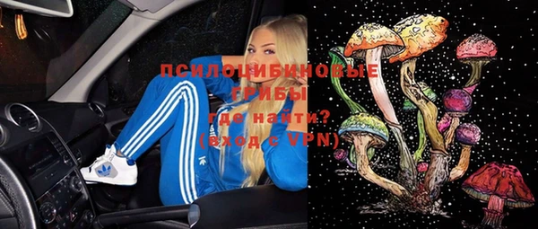 бошки Армянск